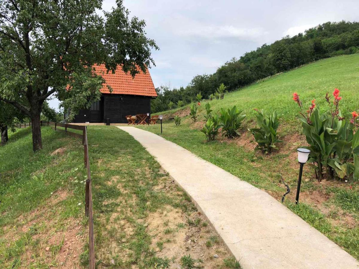 Vila Etno Selo Moj Zavicaj Gornji Milanovac Exteriér fotografie