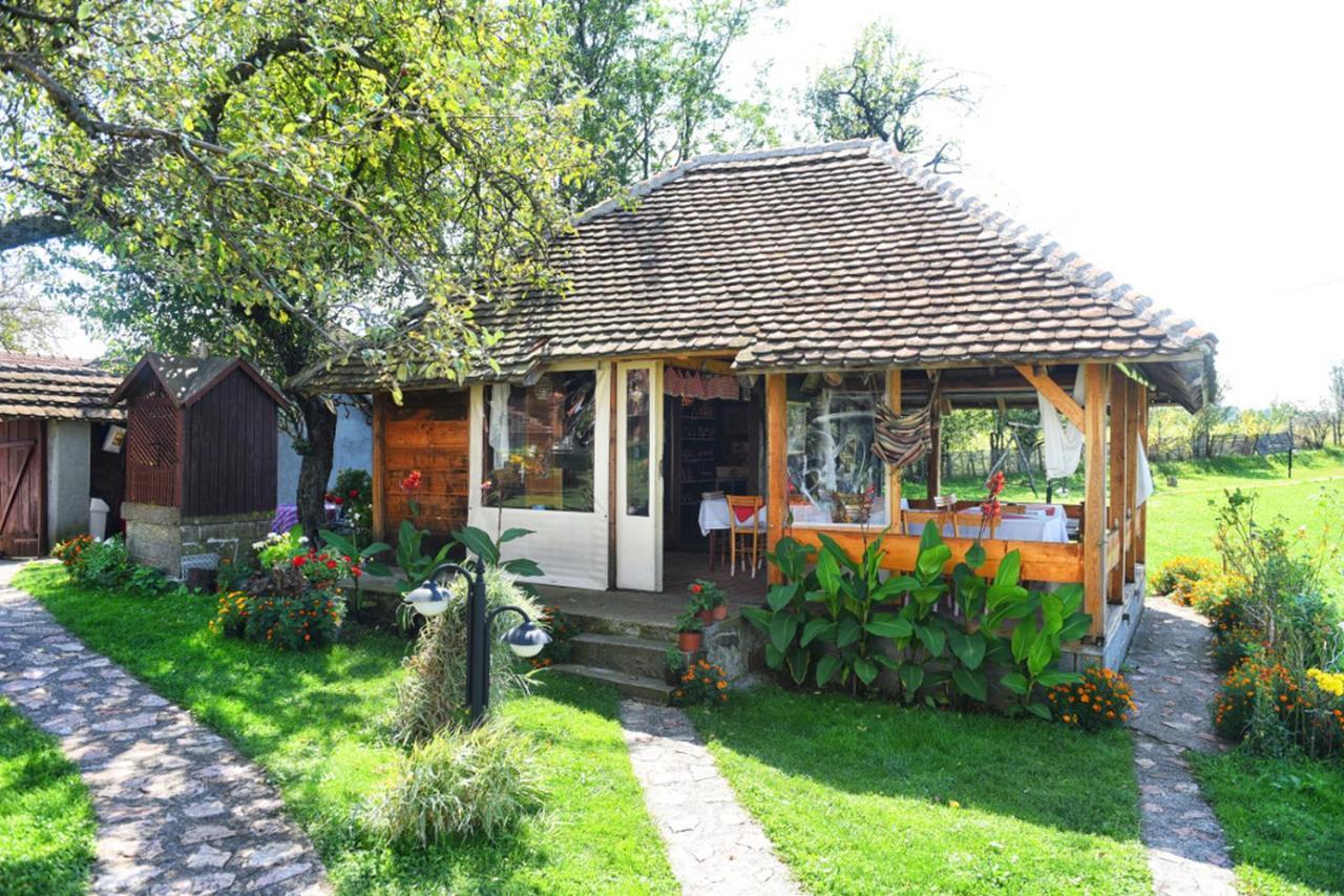 Vila Etno Selo Moj Zavicaj Gornji Milanovac Exteriér fotografie